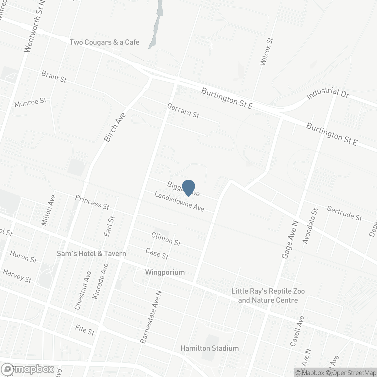 41 BIGGAR Avenue, Hamilton, Ontario L8L 3Z3